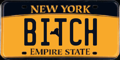 NY license plate BITCH