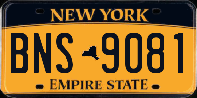 NY license plate BNS9081
