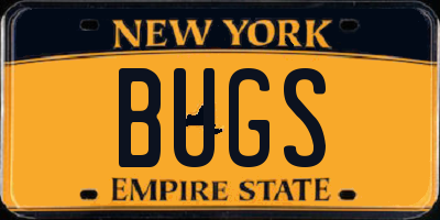 NY license plate BUGS