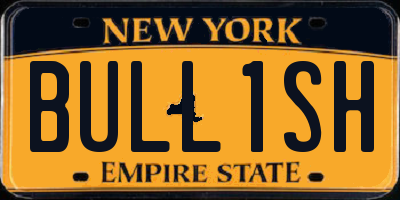 NY license plate BULL1SH