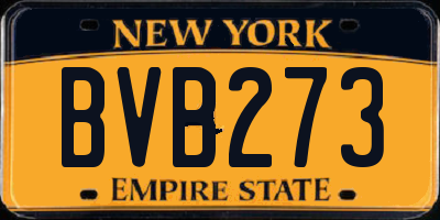 NY license plate BVB273