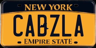 NY license plate CADZLA