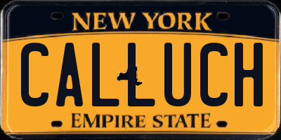 NY license plate CALLUCH