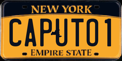 NY license plate CAPUTO1