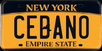 NY license plate CEDANO