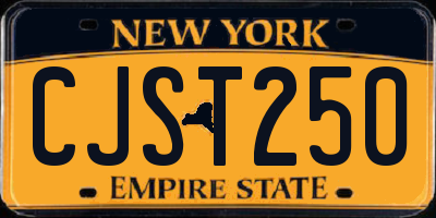 NY license plate CJST250