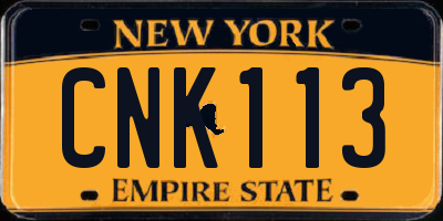 NY license plate CNK113