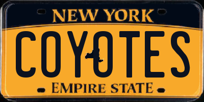 NY license plate COYOTES