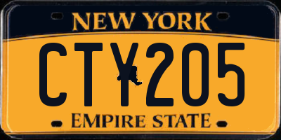 NY license plate CTY205