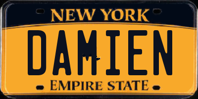 NY license plate DAMIEN