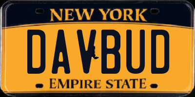 NY license plate DAVBUD