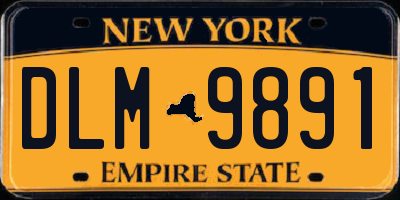 NY license plate DLM9891