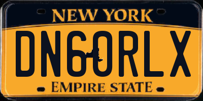 NY license plate DN60RLX