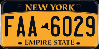 NY license plate FAA6029