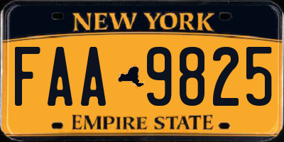 NY license plate FAA9825