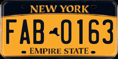 NY license plate FAB0163