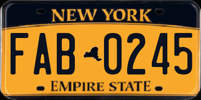 NY license plate FAB0245