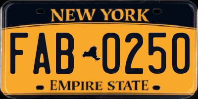 NY license plate FAB0250