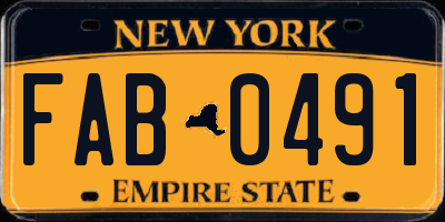 NY license plate FAB0491