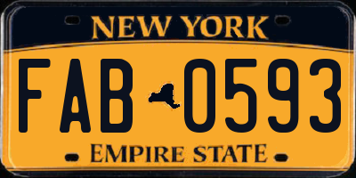 NY license plate FAB0593