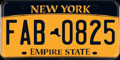 NY license plate FAB0825