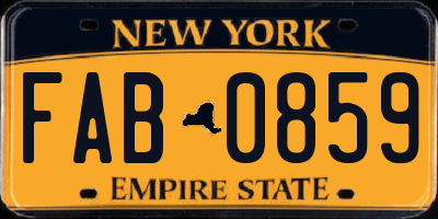 NY license plate FAB0859