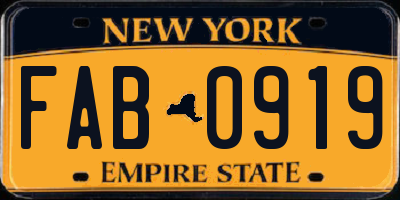 NY license plate FAB0919
