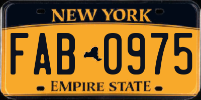 NY license plate FAB0975