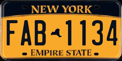 NY license plate FAB1134