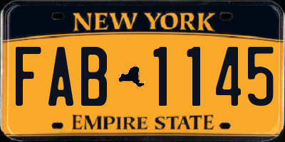 NY license plate FAB1145