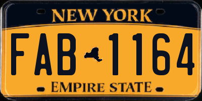 NY license plate FAB1164