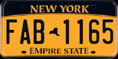 NY license plate FAB1165