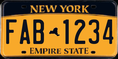 NY license plate FAB1234