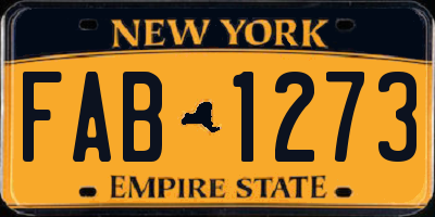 NY license plate FAB1273