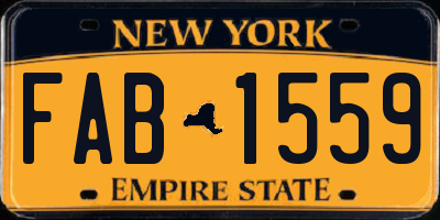 NY license plate FAB1559