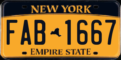 NY license plate FAB1667