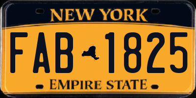 NY license plate FAB1825