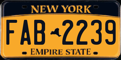 NY license plate FAB2239