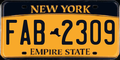 NY license plate FAB2309