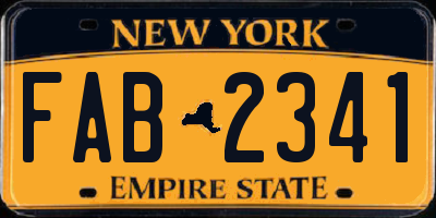 NY license plate FAB2341