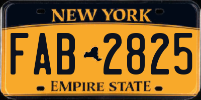 NY license plate FAB2825