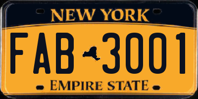 NY license plate FAB3001