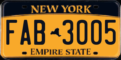 NY license plate FAB3005