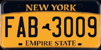 NY license plate FAB3009