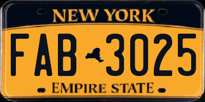 NY license plate FAB3025