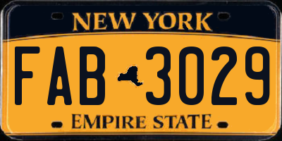 NY license plate FAB3029