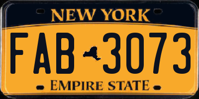 NY license plate FAB3073