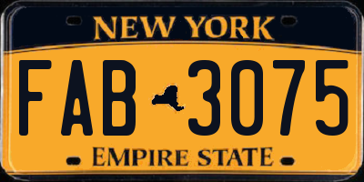 NY license plate FAB3075