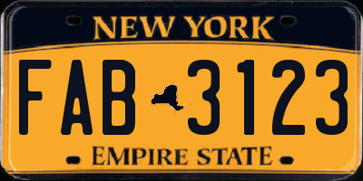 NY license plate FAB3123