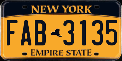 NY license plate FAB3135